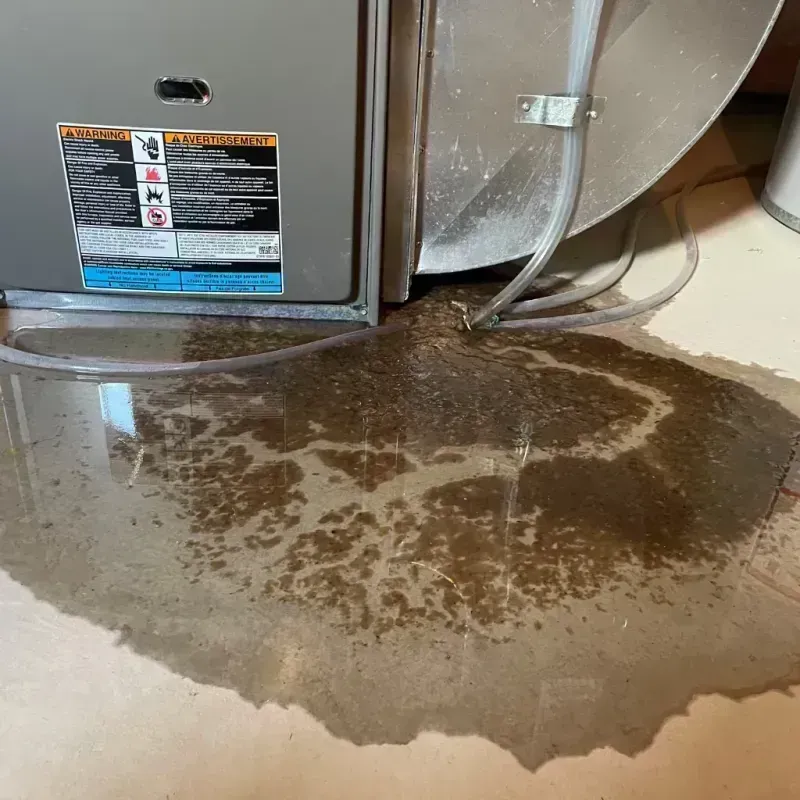 Appliance Leak Cleanup in Silver Lake, CA